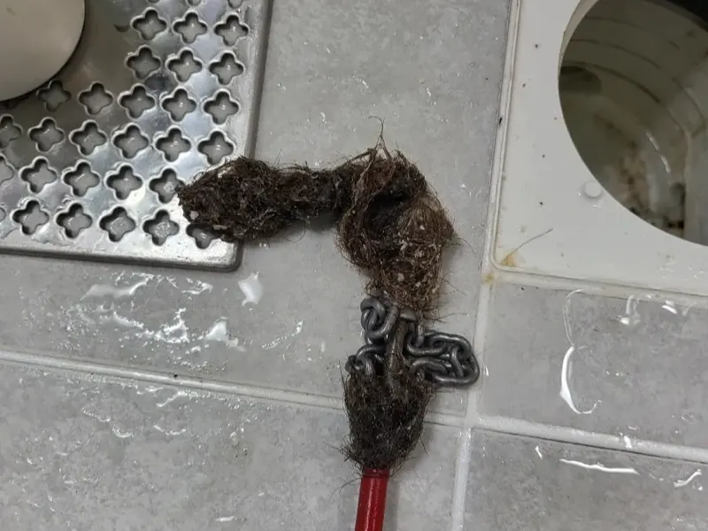 구미 바닥 배수구에서 끌어낸 머리카락 뭉치